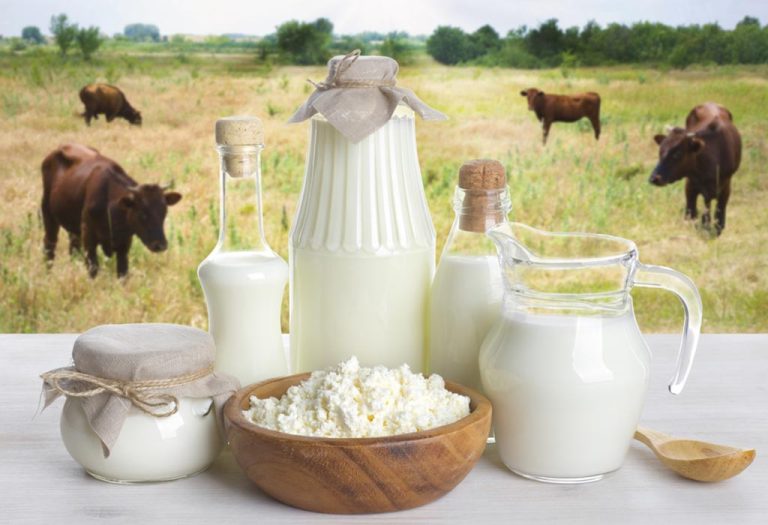 The Health Benefits of Buffalo Milk: A Nutrient-Rich Alternative